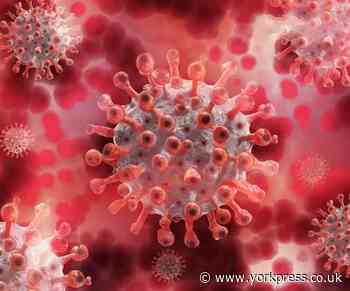 Another York coronavirus case confirmed | York Press - York Press