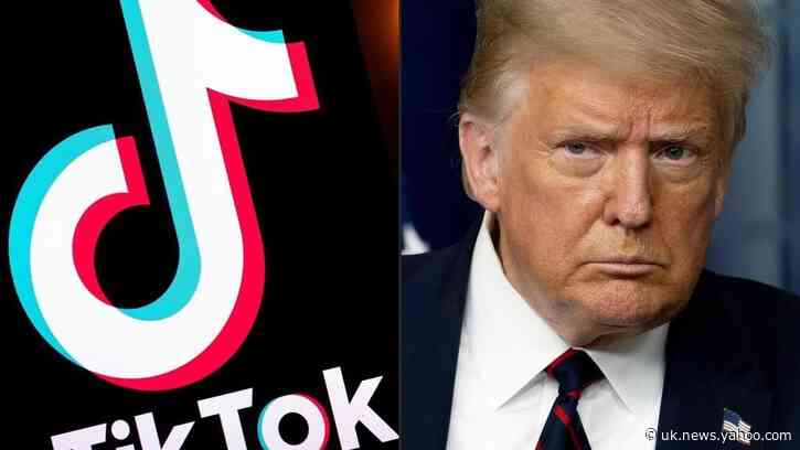 Trump says he will only allow TikTok sale if US government gets a cut
