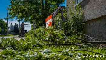 3 tornadoes touched down Sunday, Environment Canada says