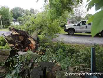 Storm destroys trees, damages buildings in Camden East: 'It hit so fast and so hard'