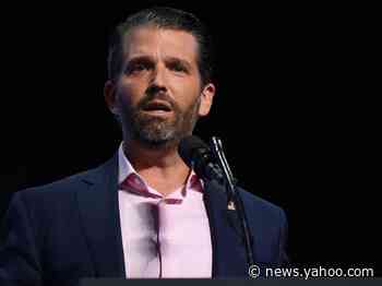Donald Trump Jr. has a long history of spreading misinformation and conspiracy theories online
