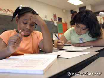 Illinois officials call to abolish history classes in the state until an 'alternative' is set up to highlight underrepresented groups