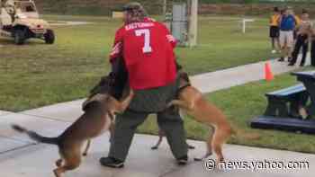 Kaepernick shirt was attack dogs' target at Navy Seal event