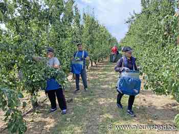 “Als onze regio rood kleurt, hebben we een probleem”