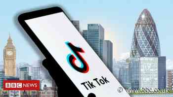 Call for TikTok security check before HQ decision