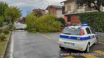 Nubifragio Modena, bomba d'acqua sulla città. Allagato il Policlinico - il Resto del Carlino