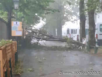Nubifragio sulla città: la 'conta' dei danni - Modena 2000