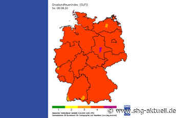 Feuerwehr warnt: Trockenes Wetter sorgt für steigende Waldbrandgefahr - SHG-Aktuell.de