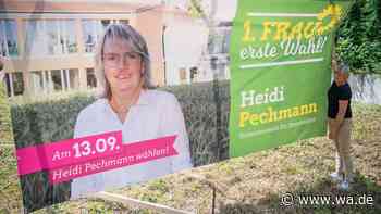 Wahlplakate der Grünen in Drensteinfurt mit Hakenkreuz beschmiert - Kommunalwahlen 2020 - wa.de