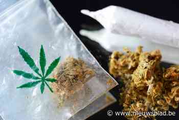 Koppel gearresteerd na vondst cannabisplantage