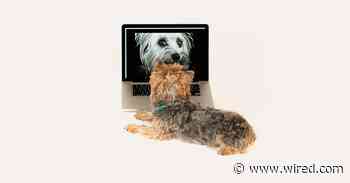 The Tech That Can Help Keep Your Dogs Happy and Healthy