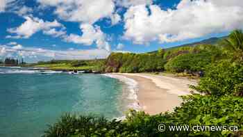 Aloha! Canadians will soon be able to visit Hawaii without having to quarantine