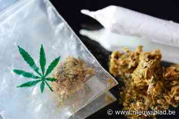 Twee arrestaties na vondst van cannabisplantage in Hoogstraten