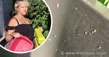 Woman left 'fuming' after refuse workers won't to take black bin