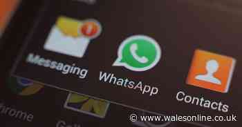 WhatsApp unveils easy-to-use new feature for users in the UK