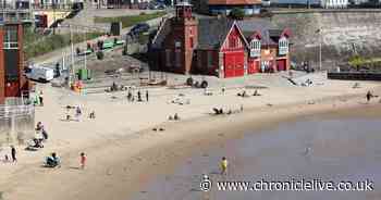 Investigation closed after girl, 15, assaulted in viral video in Cullercoats