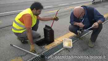 Lotta alla zanzara tigre, pensando alle scuole di Modena - La Gazzetta di Modena