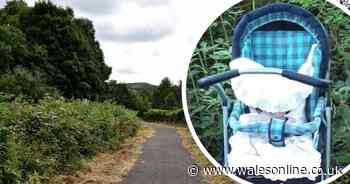 Police hunt after empty baby pram is found on footpath