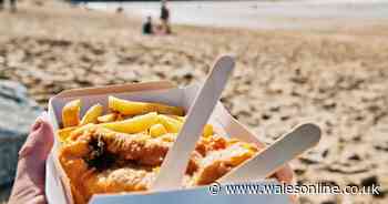 Cornwall's urgent warning to those heading there for staycation