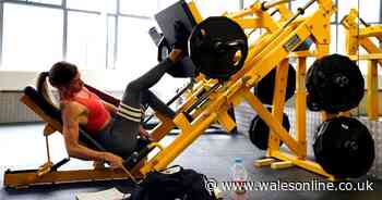 'Exercise pill' on cards after scientists discover gym session proteins