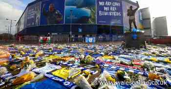 Cardiff City transfer ban appeal delayed and Swansea target Freeman