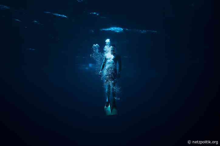 Transparenzbericht: Unsere Einnahmen und Ausgaben und weitermachen, als wäre nichts