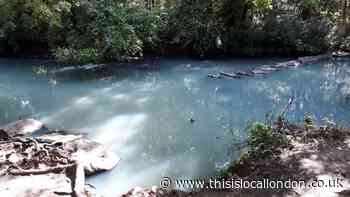 Nature charity concerned about pollution at River Crane