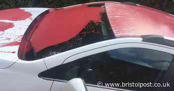 Woman's "pride and joy" car covered in paint and tyres slashed