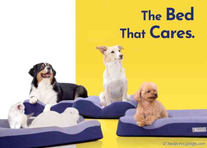 Gentle Lemur pet bed ptotects your pet from parasites, germs, and mold from $79