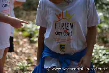 Unbeschwertes FFC-Sommerferien-Camp für Kinder: Bereit für zwei Tage Fußball? - Wochenblatt-Reporter