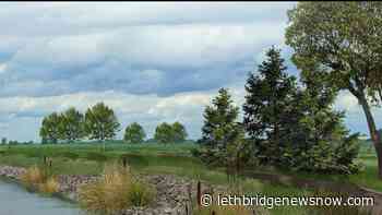 Link Pathway project chair hopes to start construction this fall - Lethbridge News Now