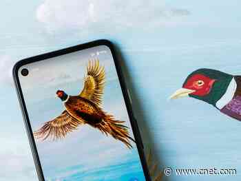 Review: Google Pixel 4A officially has the best camera for the money     - CNET