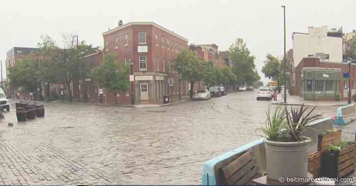 Baltimore Sees Trees Topple During Isaias, But City Spared Worst Of Storm