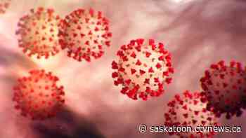 Fewer in Sask. willing to get potential COVID-19 vaccine compared to rest of Canada: poll