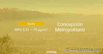 Calidad del aire en Concepción Metropolitano de hoy 4 de agosto de 2020 - Condición del aire ICAP - Infobae.com