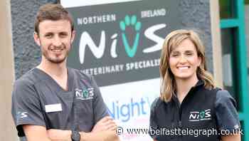 Vet who saved hero police dog's life sets up specialist animal hospital in Co Down