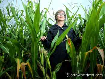 Carleton researcher examines how changing crop field sizes can radically improve biodiversity