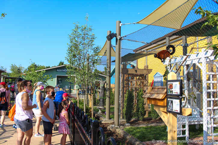 Dublin-Based Roto Behind Key COSI and Columbus Zoo Attractions