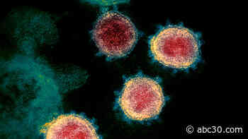 US nears 5 million coronavirus cases as deaths surpass 156k: LIVE