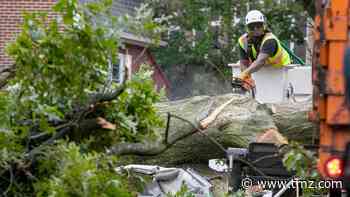 Man Crushed to Death As Tropical Storm Isaias Topples Trees in NY and NJ