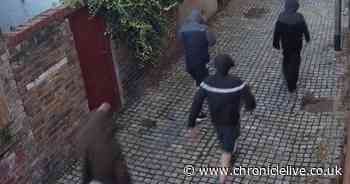 Police release CCTV pictures after burglary at County Durham ice cream shop - Chronicle Live