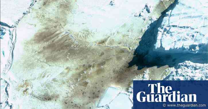 Throng of new penguin colonies in Antarctica spotted from space