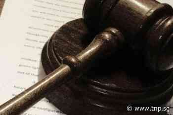 Trainers accused of groping women while coaching them - The New Paper