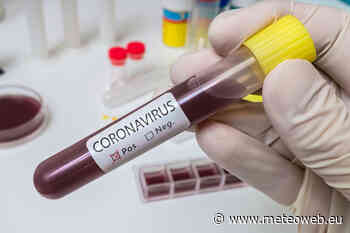 Coronavirus, il sindaco di Civitavecchia: “Guai a chi tocca il crocierismo, ma c’è preoccupaz ... - Meteo Web