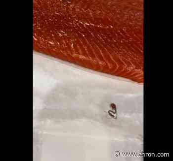 'I was incredibly grossed out': H-E-B customer finds worm in sockeye salmon fillet