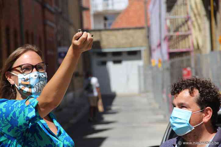 Jonge gierzwaluw gered en opnieuw vrijgelaten: “We zoeken vrijwilligers om meer noodlijdende dieren te helpen”