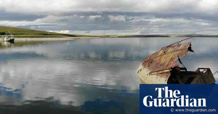 Country diary: life flourishes among the skeletons of scuttled steamships
