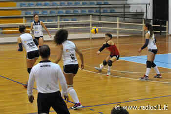 Serie B2 di volley. L’Albaverde conferma Ferraloro, Erba e Tilaro. Adesso mancano pochi innesti - Radio CL1