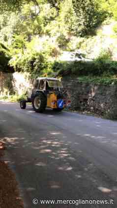 Montevergine, al via il taglio dell'erba lungo la strada provinciale 274 - MercoglianoNews: Mercogliano in Rete