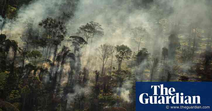 Tesco urged to ditch meat company over alleged links to Amazon deforestation